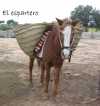 Aljarafe-Persianas es una empresa familiar y artesanal que proporciona art&iacute;culos de esparto, mimbre, madera y otros art&iacute;culos varios para todo tipo de uso, tanto funcional como decorativo.